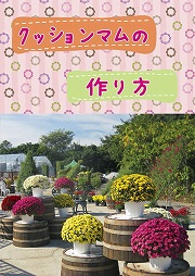 クッションマムの作り方 菊の育種 種苗販売 イノチオ精興園